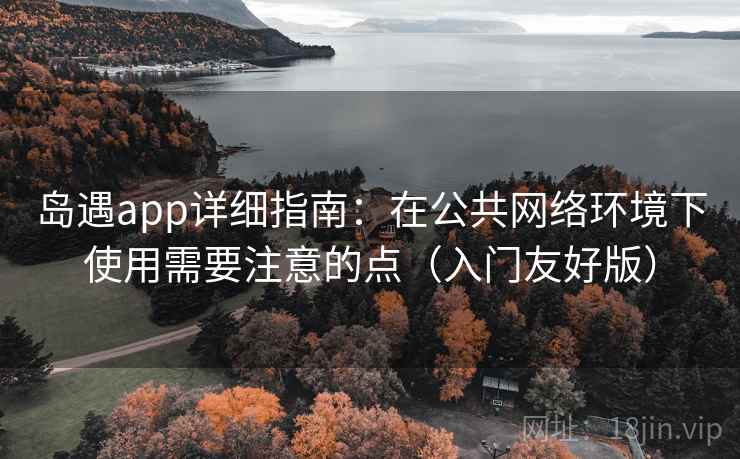 岛遇app详细指南：在公共网络环境下使用需要注意的点（入门友好版）