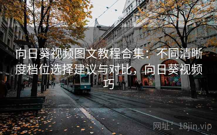 向日葵视频图文教程合集：不同清晰度档位选择建议与对比，向日葵视频巧