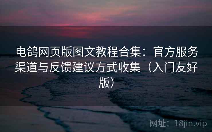 电鸽网页版图文教程合集：官方服务渠道与反馈建议方式收集（入门友好版）