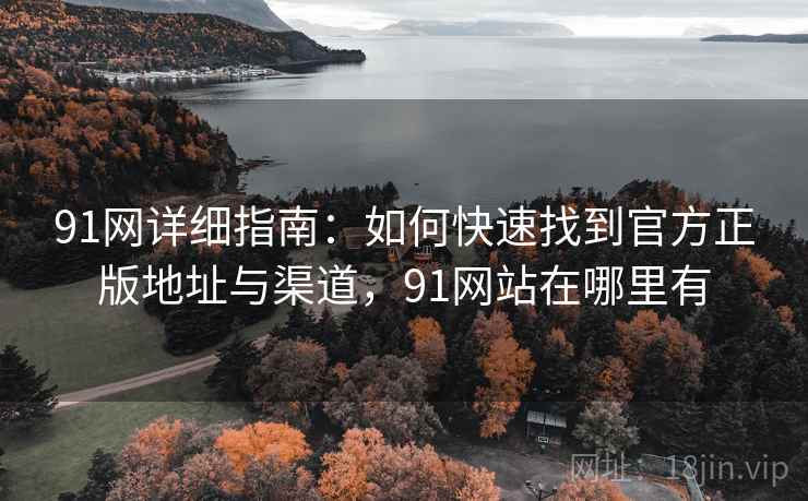 91网详细指南：如何快速找到官方正版地址与渠道，91网站在哪里有