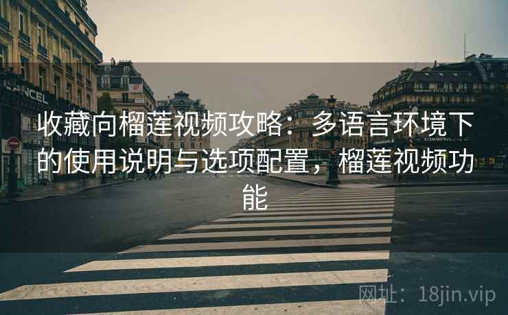 收藏向榴莲视频攻略：多语言环境下的使用说明与选项配置，榴莲视频功能