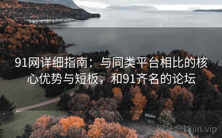 91网详细指南:与同类平台相比的核心优势与短板,和91齐名的论坛 91网详细指南:与同类平台相比的核心优势与短板,和91齐名的论坛