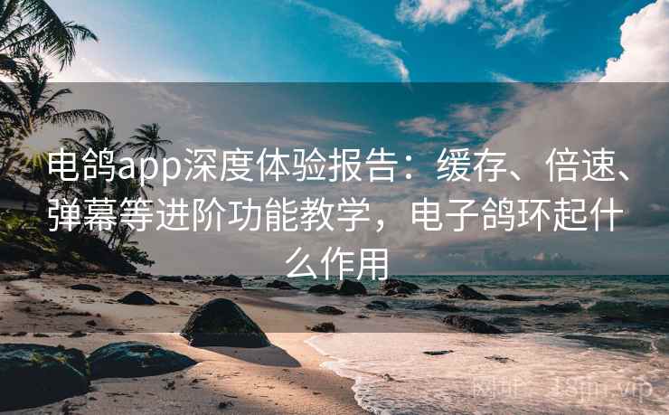 电鸽app深度体验报告：缓存、倍速、弹幕等进阶功能教学，电子鸽环起什么作用