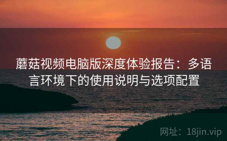 蘑菇视频电脑版深度体验报告：多语言环境下的使用说明与选项配置