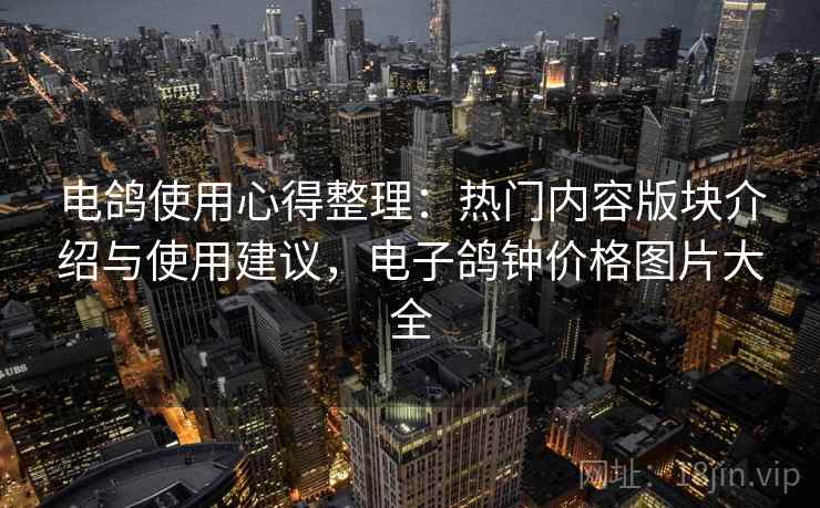 电鸽使用心得整理：热门内容版块介绍与使用建议，电子鸽钟价格图片大全