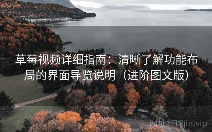 草莓视频详细指南:清晰了解功能布局的界面导览说明(进阶图文版)