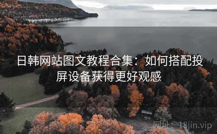 日韩网站图文教程合集:如何搭配投屏设备获得更好观感 日韩网站图文教程合集:如何搭配投屏设备获得更好观感