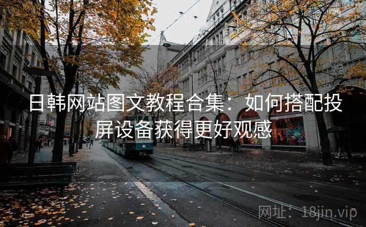日韩网站图文教程合集:如何搭配投屏设备获得更好观感 日韩网站图文教程合集:如何搭配投屏设备获得更好观感