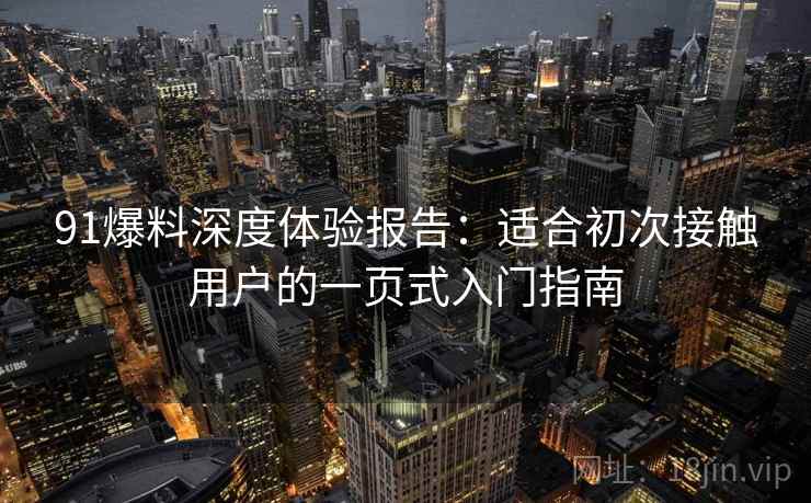 91爆料深度体验报告:适合初次接触用户的一页式入门指南