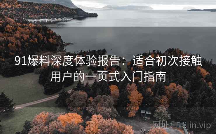 91爆料深度体验报告:适合初次接触用户的一页式入门指南 91爆料深度体验报告:适合初次接触用户的一页式入门指南