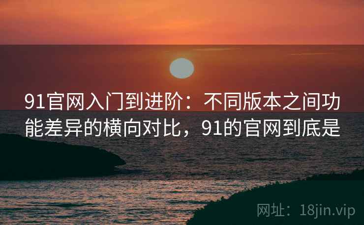 91官网入门到进阶：不同版本之间功能差异的横向对比，91的官网到底是