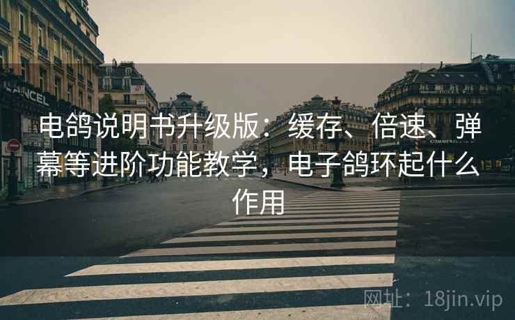 电鸽说明书升级版:缓存、倍速、弹幕等进阶功能教学,电子鸽环起什么作用 电鸽说明书升级版:缓存、倍速、弹幕等进阶功能教学,电子鸽环起什么作用