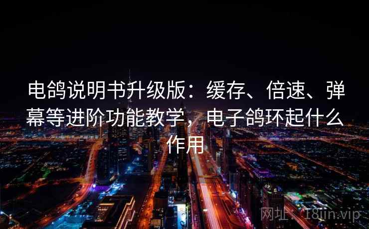 电鸽说明书升级版:缓存、倍速、弹幕等进阶功能教学,电子鸽环起什么作用 电鸽说明书升级版:缓存、倍速、弹幕等进阶功能教学,电子鸽环起什么作用