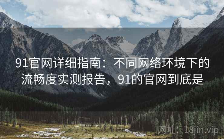 91官网详细指南：不同网络环境下的流畅度实测报告，91的官网到底是
